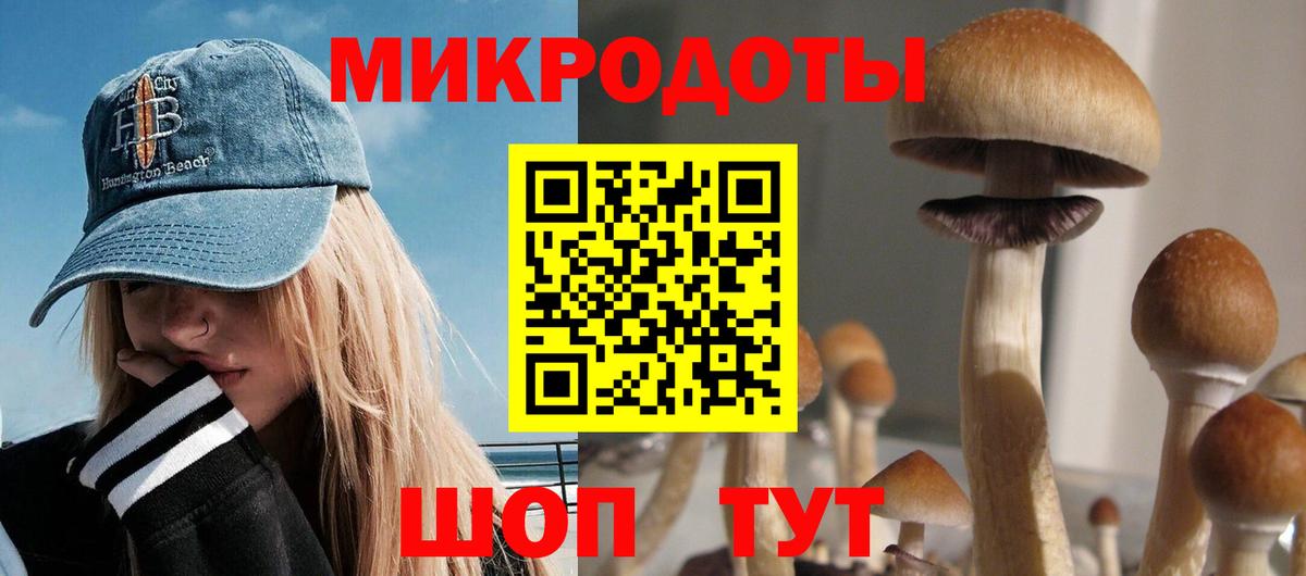 Тамбов  Галлюциногенные грибы прущие грибы  Вход с VPN  Псилоцибиновые грибы Cubensis 